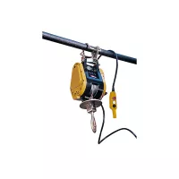 Mini palan électrique